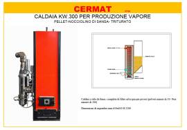 CALDAIA kw.250 A PELLET -NOCCIOLINO- TRITURATO PER RISCALDAMENTO O VAPORE