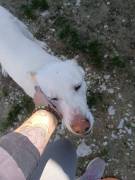 Casper