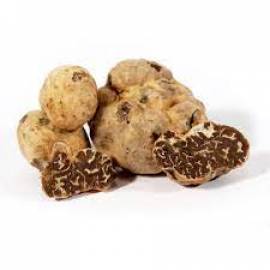 Proponiamo forniture di caviale Beluga ,Tartufi e Ostriche 