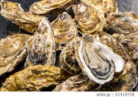 Proponiamo forniture di caviale Beluga ,Tartufi e Ostriche 