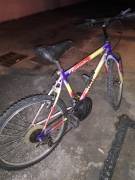 Mountain Bike 20" bimbo