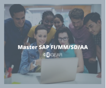 Master SAP FI MM SD CO | Online | BeGear