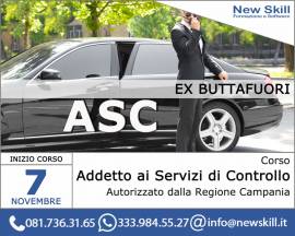 Addetto ai servizi di controllo e vigilanza (ex buttafuori)