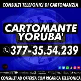 Vero sensitivo, bravo cartomante. Lettura professionale dei Tarocchi telefonicamente