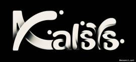 Canon Toshiba assistenza ecografi: Kalsys