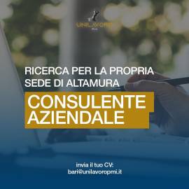 consulente aziendale