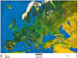 Vendita fallimentare di mappe satellitari circa 90.000 pezzi