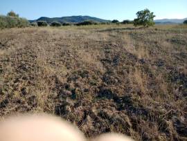 terreno edi terreno edi