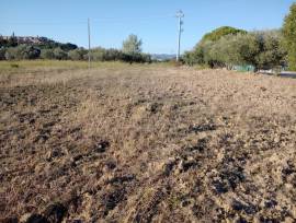 terreno edi terreno edi