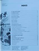 Normandia 1944-Sbarco alleato e rottura del fronte Vol.I di Stephen Badse Ed.Osprey Publishing,1998