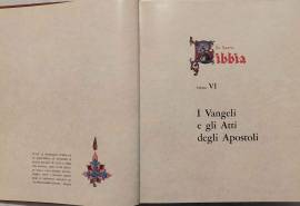 LA SACRA BIBBIA. I VANGELI E GLI ATTI VOLUME VI ED: FRATELLI FABBRI EDITORI, 1965