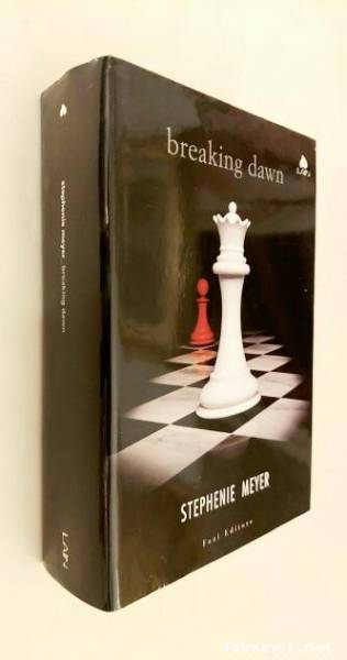 Breaking dawn di Stephenie Meyer 1°Ed.Fazi Editore ottobre 2008 come nuovo