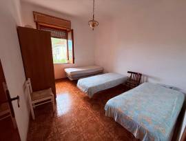 105 Velia 