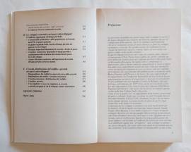 Prospettive sullo sviluppo economico dei paesi emergenti di Grilli, Enzo Ed.Banca popolare dell'Etru