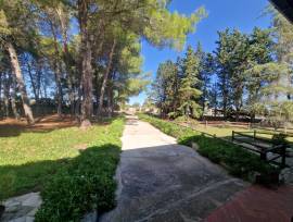 Villa (unico livello)   via Merine