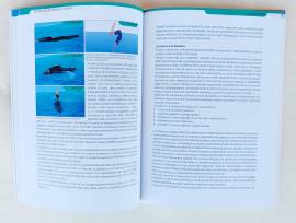 Manuale del pescatore in apnea di Nicola Brischigiaro, P.Sorvino, R.Tiveron Ed.Nutrimenti mare, 2014