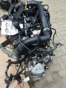 Motore Ford Fiesta 1.0 Turbo Ecoboost 2019 Q0JC Motore Ford Fiesta 1.0 Turbo Ecoboost 2019 Q0JC