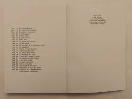 Le storie della pellagra di Pino Sbalchiero Ed.Rebelatto, 1979