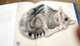 Gatti nell'arte. Edizione Illustrata di Stefano Zuffi Ed.Sassi, marzo 2007