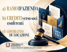 RAMO D'AZIENDA + ALTRO F258