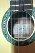 Chitarra classica elettrificata