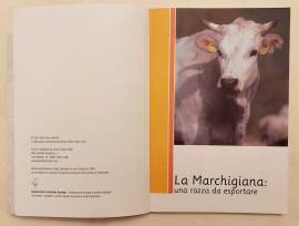 Libro: La Marchigiana una razza da esportare Progetto Marcbal Regione Marche, Osimo, luglio 2008 Libro: La Marchigiana una razza da esportare Progetto Marcbal Regione Marche, Osimo, luglio 2008