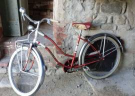 Bicicletta donna