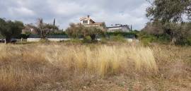 Terreno Edificabile in vendita a Guidonia Montecelio