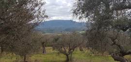 Terreno Edificabile in vendita a Guidonia Montecelio