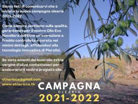 OLIO EXTRAVERGINE DI OLIVA NOCELLARA DELL'ETNA 2021/2022 [ Latta 5 Litri]