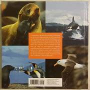 I pinguini e gli animali del polo sud di Mojetta Angelo Editore: Corriere della sera gennaio 2006 nu