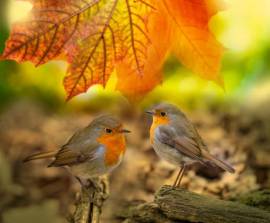 Malinconia d'autunno