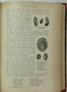 Corso di geologia vol.2°di Antonio Stoppani Ed.Tipo-Litografia, Rebeschini, 1903