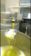 Olio Extravergine di oliva Pugliese 2022 varietà coratina