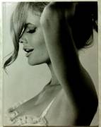 Sam Haskins Fashion Etcetera. Tommy Hilfiger Special Edition Editore: Tommy Hilfiger, 2009 nuovo