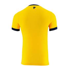 camisetas de ecuador 2022 replicas