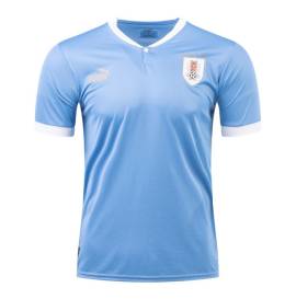 camiseta Seleccion Nacional 2022