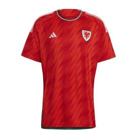 camiseta Seleccion Nacional 2022