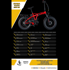 E-BIKE GIAMA FANATIK 250W