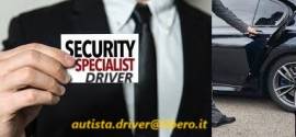 Autista privato/ Sicurezza/ Custode/ Guardiano/ Cuoco/ Investigatore privato