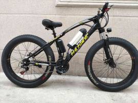 BICI Elettrica