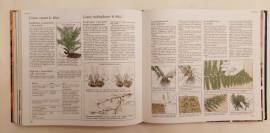 Giardinaggio senza problemi. Guida completa di Selezione dal Reader’s Digest 1°Ed.febbraio, 1981 Giardinaggio senza problemi. Guida completa di Selezione dal Reader’s Digest 1°Ed.febbraio, 1981