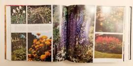 Giardinaggio senza problemi. Guida completa di Selezione dal Reader’s Digest 1°Ed.febbraio, 1981 Giardinaggio senza problemi. Guida completa di Selezione dal Reader’s Digest 1°Ed.febbraio, 1981