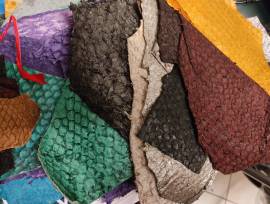 Pellami Esotici e Pregiati Pellami Esotici e Pregiati