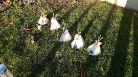 Riproduzione FAR WEST Ranch .Interni Canoa. Teepe.Carro.Concia delle Pelli ecc... Riproduzione FAR WEST Ranch .Interni Canoa. Teepe.Carro.Concia delle Pelli ecc...