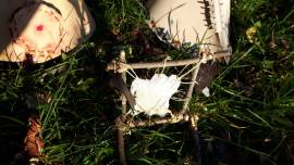 Riproduzione FAR WEST Ranch .Interni Canoa. Teepe.Carro.Concia delle Pelli ecc... Riproduzione FAR WEST Ranch .Interni Canoa. Teepe.Carro.Concia delle Pelli ecc...