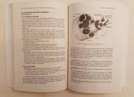 Assistenza infermieristica in neurologia e neurochirurgia di STERZI, VERSARI, BOTTONI, BRESCIANI, 