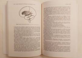 Assistenza infermieristica in neurologia e neurochirurgia di STERZI, VERSARI, BOTTONI, BRESCIANI, 