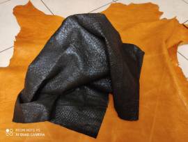 Pannelli di Pelli Particolari Pannelli di Pelli Particolari