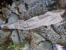 Pelli Esotiche e Pregiati Pelli Esotiche e Pregiati